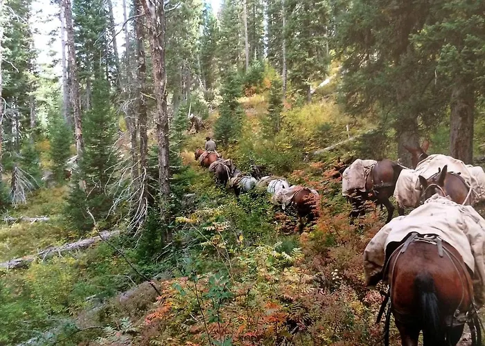 Holiday home Traditional Log Near The Grand Tetons In Alpine, Wyoming Alpine
