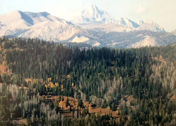 Traditional Log Near The Grand Tetons In Alpine, Wyoming Holiday home Alpine